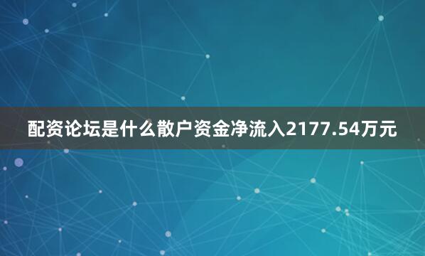 配资论坛是什么散户资金净流入2177.54万元