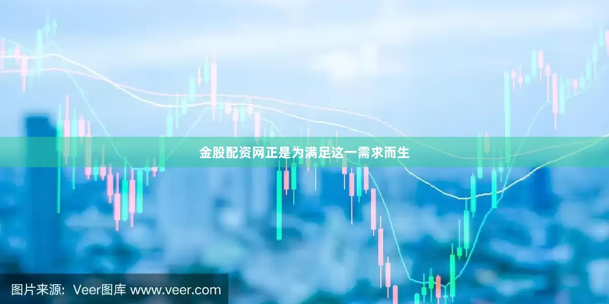 金股配资网正是为满足这一需求而生