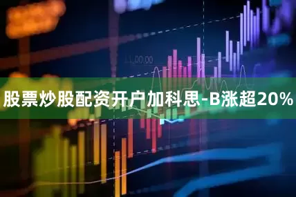 股票炒股配资开户加科思-B涨超20%