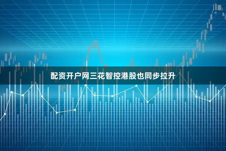 配资开户网三花智控港股也同步拉升
